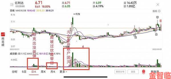 真实案例解读退出地图被举报后的处理结果与教训总结