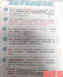 据悉|草莓榴莲向日葵丝瓜18岁种植攻略从选种到收获的保姆级教程