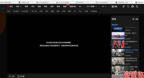 高清视频播放难题破解Windows用户都在用的免费神器实测分享