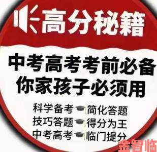 孙禾颐高效备考方法论：考研考公人群不可错过的提分策略