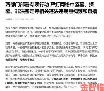 国产1区2区违规操作曝光举报途径与平台应对措施深度调查