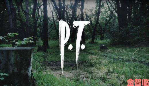 不止《P.T.》胎死腹中 《MG崛起2》亦可能受挫