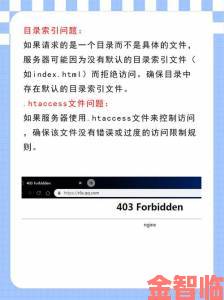 404免费入口正确使用方法全攻略新手入门必看避免常见错误操作