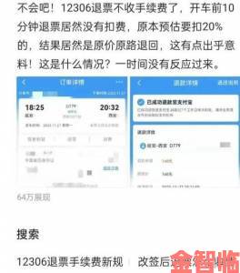 12306退票手续费扣费乱象全解析附实名举报操作教程