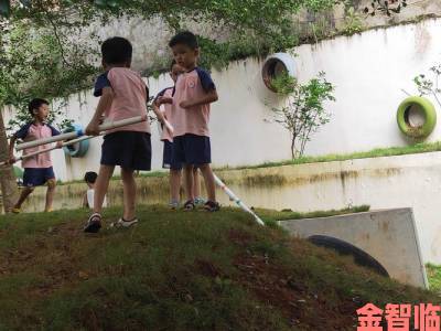 幼儿仙踪林儿童网涉嫌违规操作官方举报途径深度揭秘