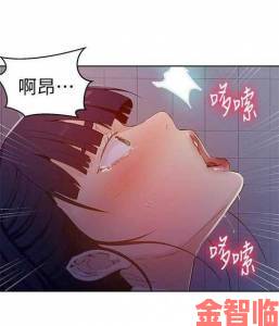 羞羞漫画免费网站入口是否合法如何避免隐私泄露风险