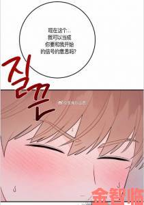 羞羞漫画免费网站入口是否合法如何避免隐私泄露风险