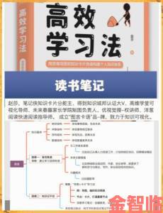 言教授亲授十大高效学习法快速提升成绩必备攻略