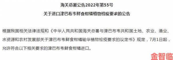 俄罗斯牛猪狗跨境贸易秘笈掌握海关政策与税收优惠政策