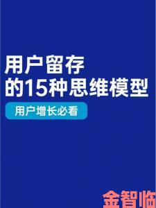 宏翔小蓝视频gy2023评价深度解析用户必看的十大优化方法与实战技巧