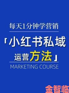 快递|进阶主播必学贵妃直播运营策略精准把握用户需求提升转化