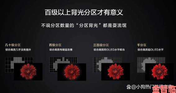 亚洲精品一区二区三区新线路是否真的颠覆传统观影体验