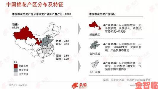 战报|为何一区二区三区国产分级制度引发行业激烈争议