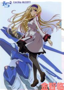 5pb.推出IS新作《Infinite Stratos 2：爱与净化》