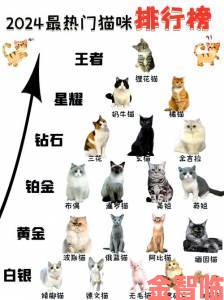 深度解析猫咪最新地域网名3336背后的城市萌宠文化图谱