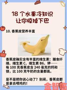 解读|91香蕉视频用户增长实战教程：从冷启动到持续涨粉的完整方案