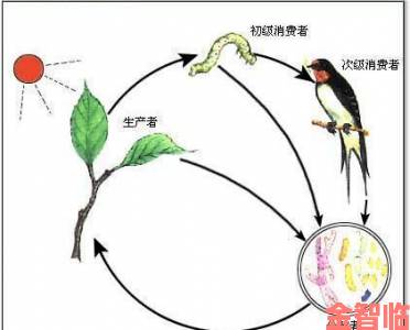 消费者怒斥动物胶配方高清视频大全动造假举报方法独家公开