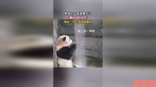 拔萝卜不盖被子风靡家长群专业人士指出三大潜在风险