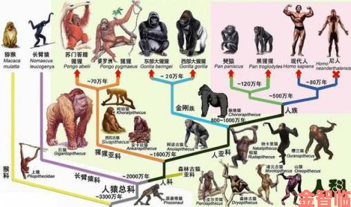 从一伦一性一交一配看人类文明进化中的原始基因残留