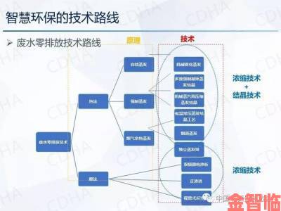 焦点|精69XXXⅩXx喷潮技术市场需求激增企业如何应对新机遇挑战