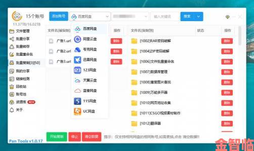 爆料|迅雷网盘使用技巧大揭秘如何高效管理你的云端文件资源