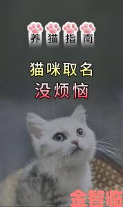 社区|猫咪MV最新地域网名怎么取网友脑洞大开这些取名灵感太绝了