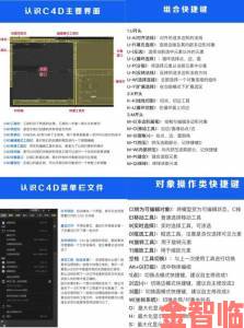 全面掌握91免费下载攻略从入门到精通的完整教程