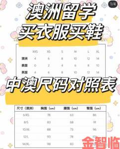 欧洲尺码日本尺码专线年费适用人群解析海淘族必看的年度省钱指南