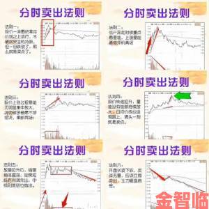 91激情快速上手秘籍三步掌握核心操作与资源分配