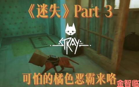 Stray游戏贫民窟笔记全位置汇总及查找指南