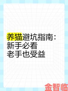 中文乱幕日产无线码有限公司避坑指南行业老手实战经验分享