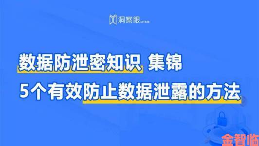 全景|九一破解版pro突然无法使用用户数据会泄露吗